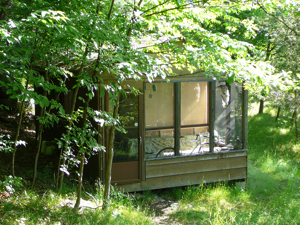 Cabin 15