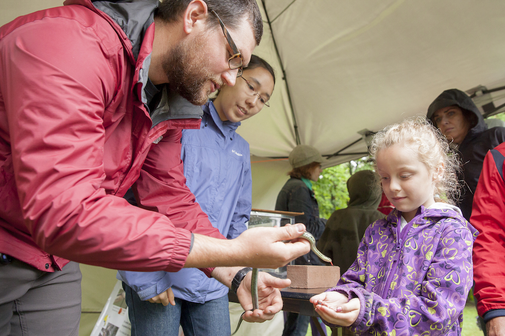Ottawa PhD student Bill Halliday and Queen's undergraduate student Ashley Bramwell showing a visitor a snake.