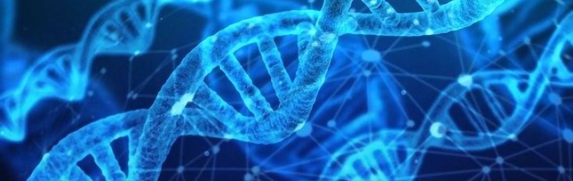 Stylized Horizontal Image of DNA