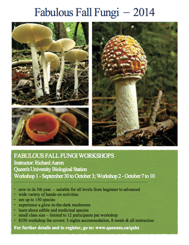 Fabulous Fall Fungi 2014 Poster