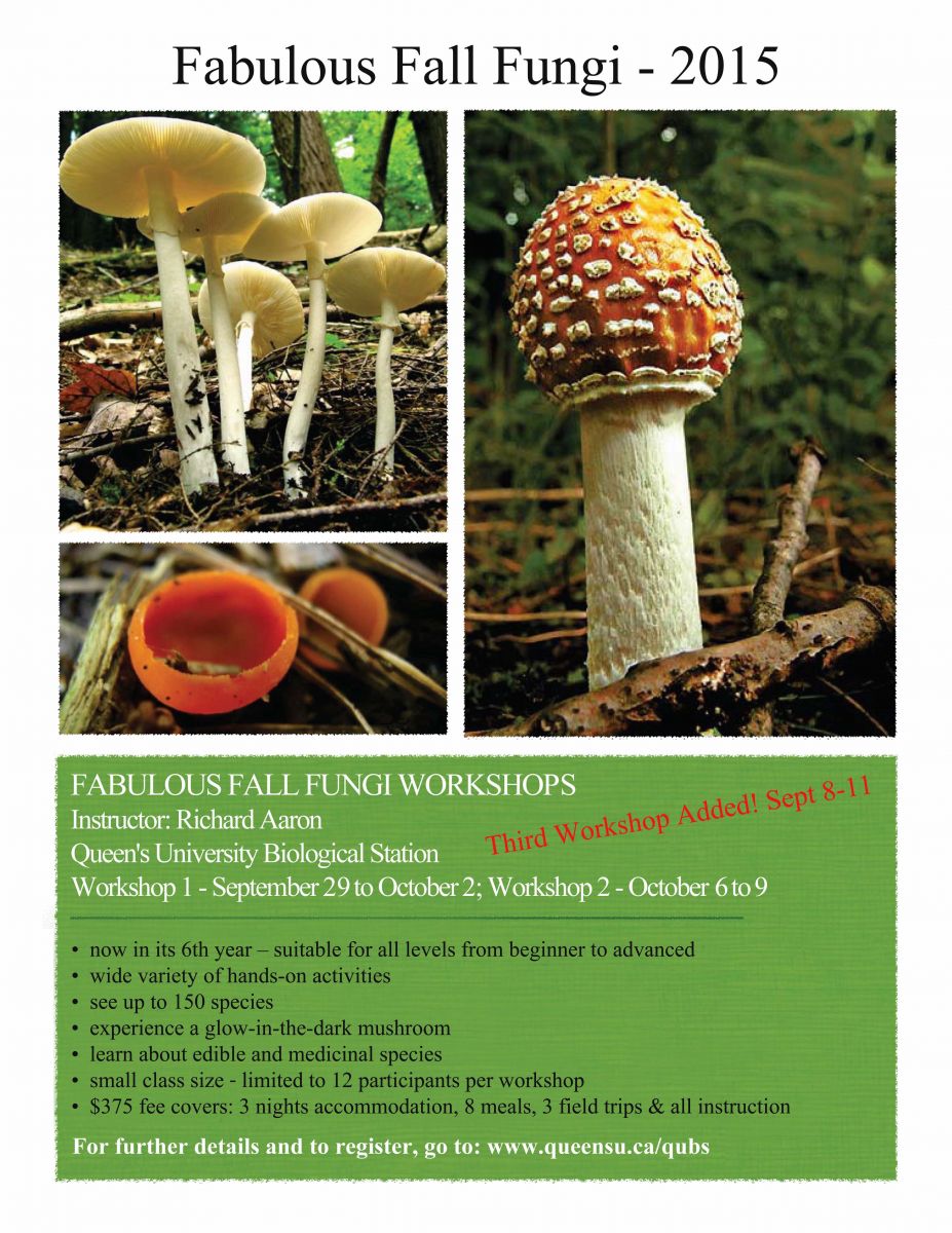 Fabulous Fall Fungi 2015 Poster