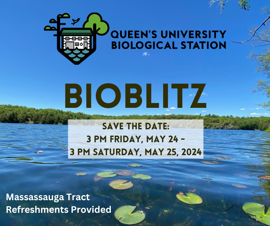 bioblitz date and time