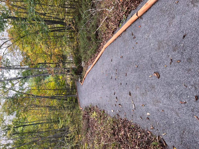 Accessible trail at Elbow Lake.